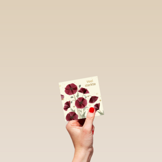 Turnowsky veel sterkte klaproos