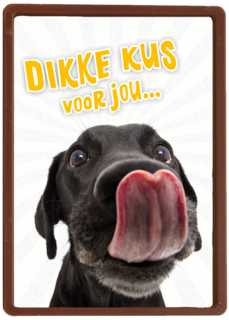 Beterschapskaart Lieve hond Dikke kus voor jou