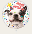 Ballon Hond Happy Birthday Multi