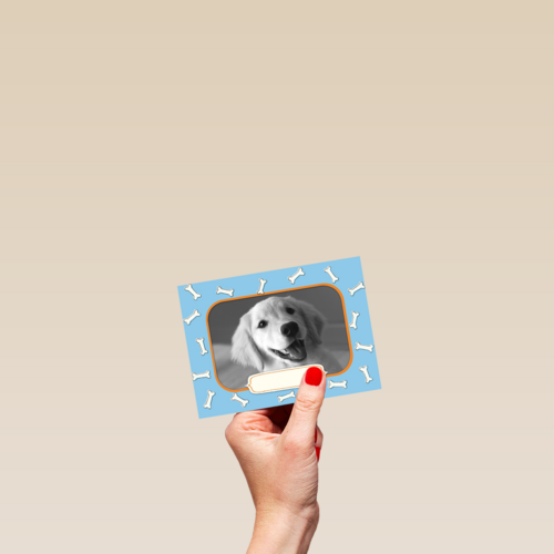 fotokaart met groetjes van onze hond
