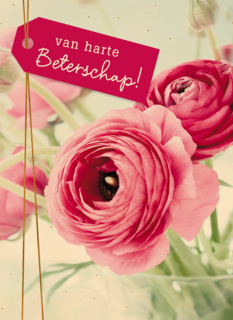 Beterschapskaart vrouw Bloemen Van harte beterschap