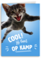 Cool Jij Bent Op Kamp Kat