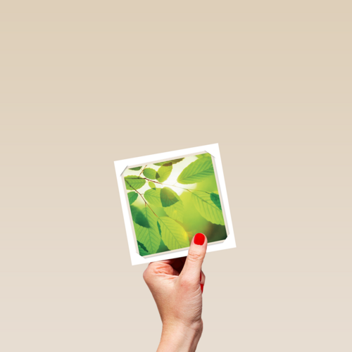 flash groen blad