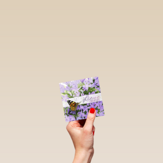 een vlinder bij bloemen