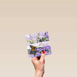 een vlinder bij bloemen