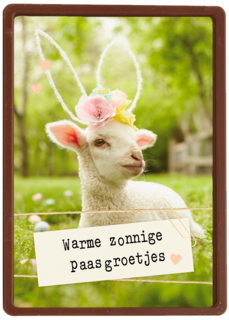 Warme zonnige paasgroetjes