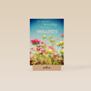 bloemenveld om je op te vrolijken