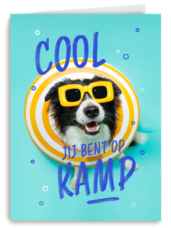 Op kamp hond bril