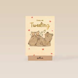 Tweeling geboortefelicitatie 2 lieve beertjes