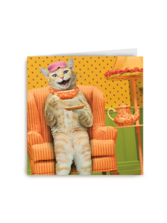 Chromazone Kat thee