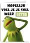 beterschap kaart muppets kermit