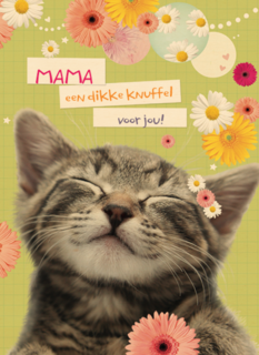 moederdag klassiek een katje voor moederdag