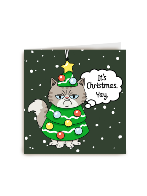 It's Christmas, Yay! Cat