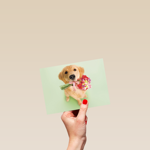 hond met bloemen