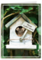 Verhuisd muis huisje