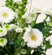 Boeket Bloemen Meghan