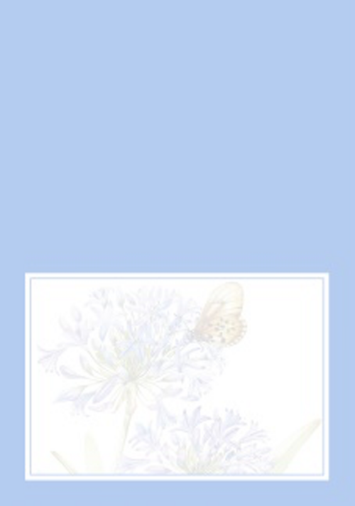 paarse bloemen met vlinder