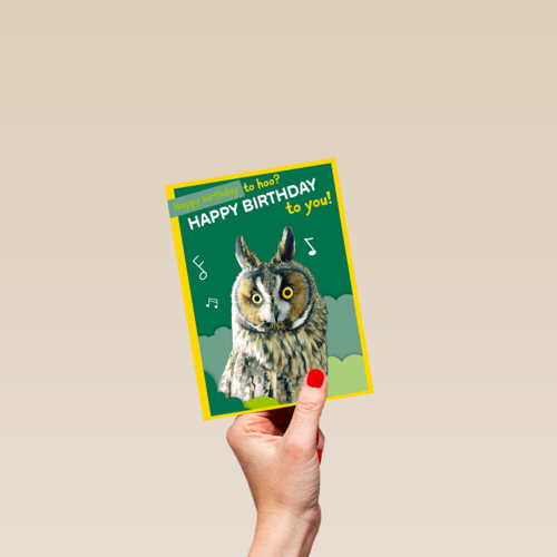 Happy Birthday to hoo