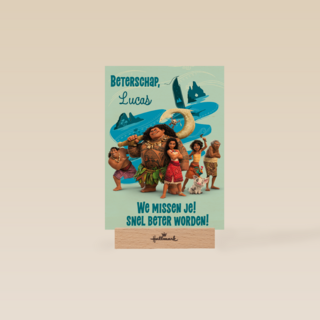 Disney Vaiana 2 Beterschap