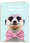 vaderdag kaart hip speciaal voor jou stokstaartje met strik