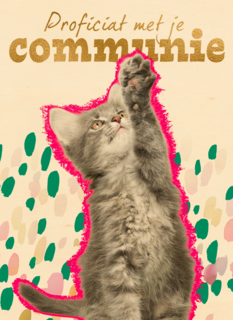 Proficiat met je communie kat