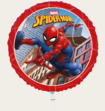 Ballon Spiderman Rood