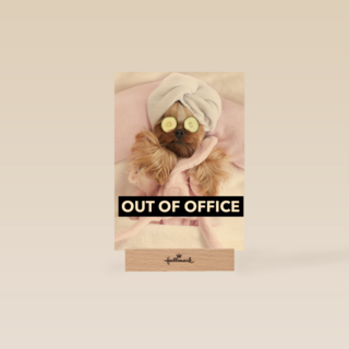 out of office in rust staykation