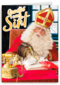 Sinterklaaskaart Groetjes van Sint