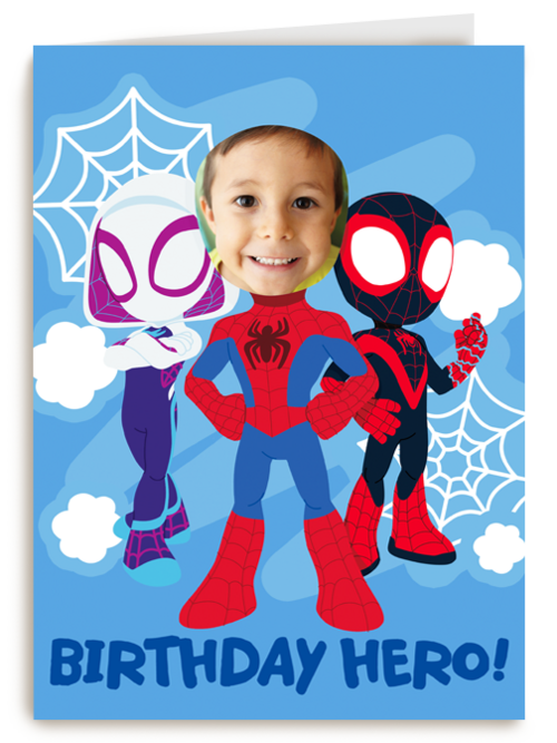 Birthday hero spidey and friends