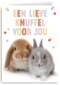 konijntjes een lieve knuffel voor jou