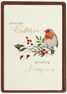 Fijne kerstdagen roodborstje