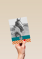 fotokaart voor paarden