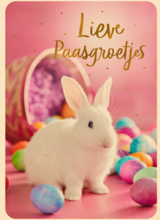 Paaskaart met wit konijntje