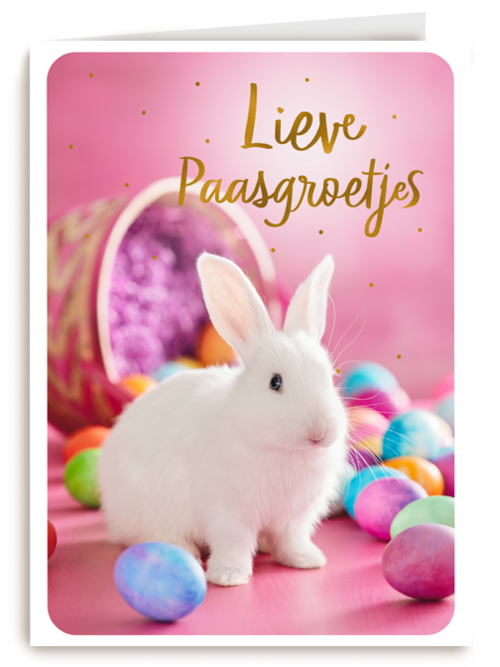 Paaskaart met wit konijntje