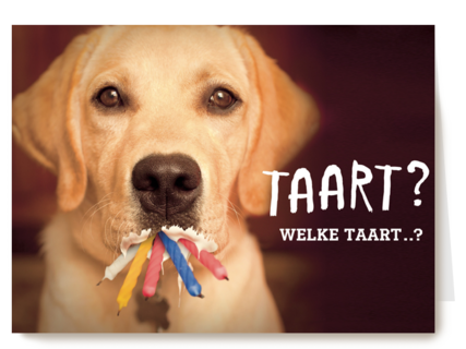 animal fiesta taart welke taart