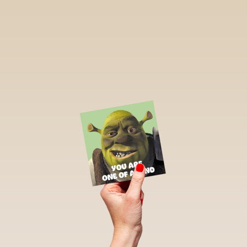 shrek you are one of a kind