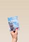 veel liefs voor het nieuwe jaar met deze kitten