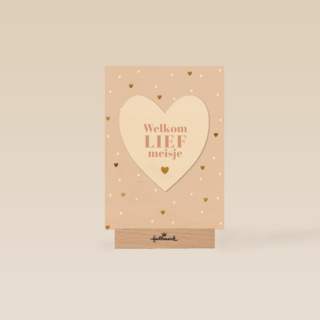 Geboortefelicitatie Welkom lief meisje