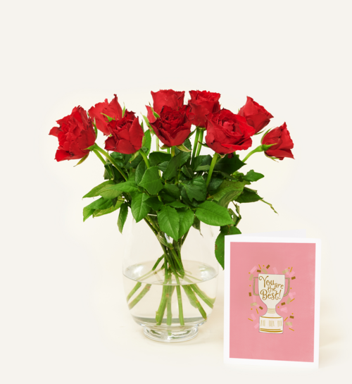 Brievenbusbloemen Rozen Rood