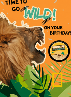 verjaardag kaart time to go wild