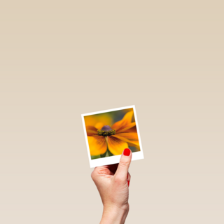 Sterkte kaart gele bloem Polaroid