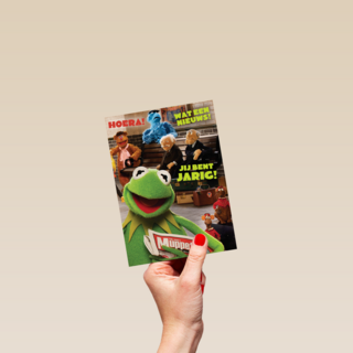 kermit de kikker met de krant