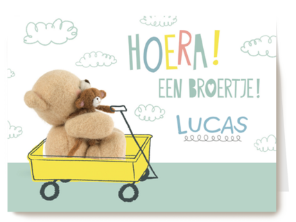 Hoera een bere baby broertje