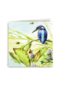 een prachtige ijsvogel