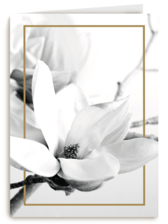 meerdere witte bloemen met goud randje