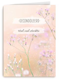 Gecondoleerd Heel veel sterkte