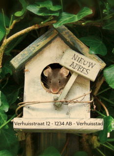 verhuizen nieuw adres vogelhuis