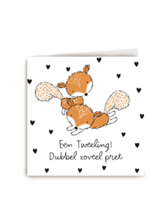 met een tweeling dubbel zoveel plezier