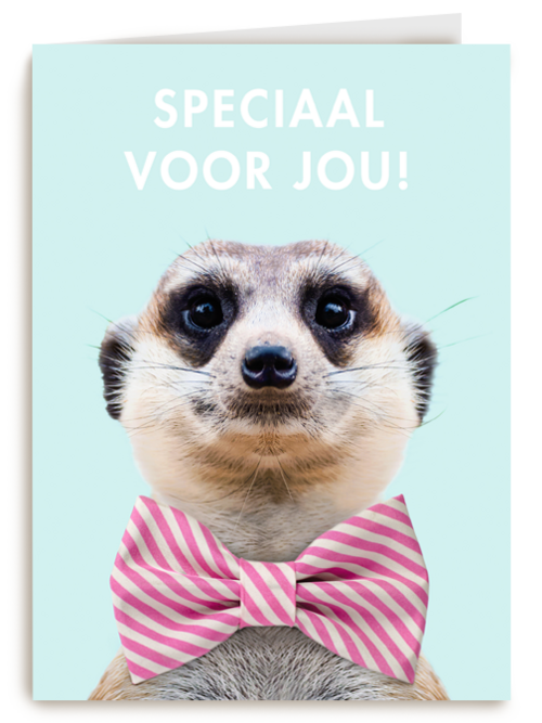 vaderdag kaart hip speciaal voor jou stokstaartje met strik
