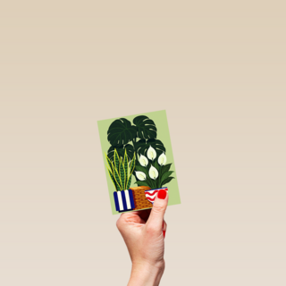 Nieuw Huis Planten